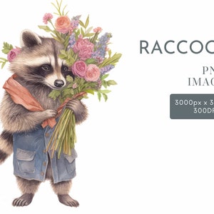 Lindos archivos PNG de imágenes prediseñadas de mapache, imágenes prediseñadas de acuarela para uso comercial, álbumes de recortes para diario basura, POD permitido, arte digital para proyectos de manualidades