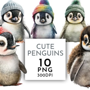Schattige pinguïns clipart png, kerstpinguïn, pinguïn wollige hoeden, ongewenste journaling aquarel clipart commercieel gebruik digitale Instant Download