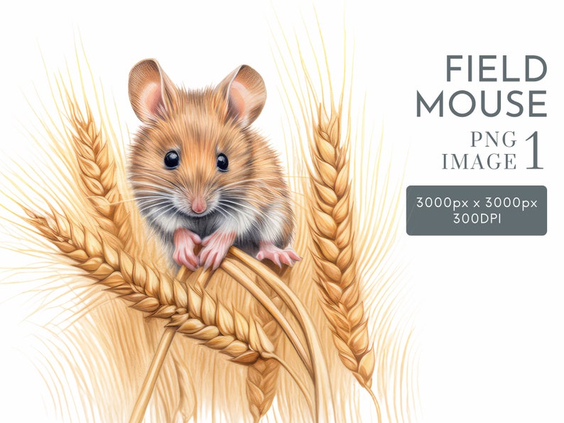 Cute Field Mouse Clipart PNG Files Watercolor Commercial Use Etsy