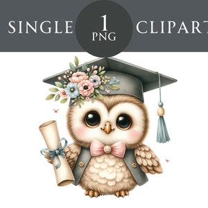 Abschluss Eule Clipart, Kindergarten Schule College Tier Wand Kunst Grafiken Glückwünsche Clipart Kinderzimmer Dekor Kommerzielle Nutzung PNG