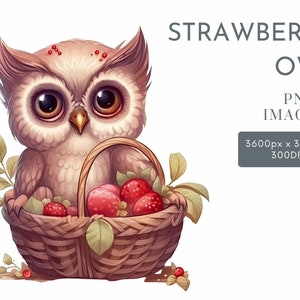 Fraise chouette aquarelle Clipart PNG, des cliparts animaux de la forêt, des cliparts pour chambre d'enfant à usage Commercial des cliparts, Templett, Corjl & Canva Friendly