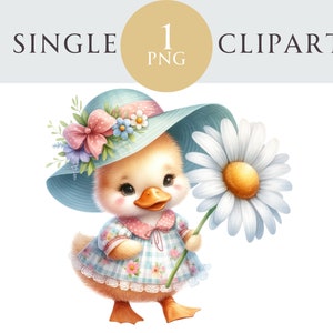 Clipart de patinho de primavera, ilustração de pato de Páscoa PNG, dia das mães, ideal para cartões de felicitações, artesanato, convites, projetos de papel