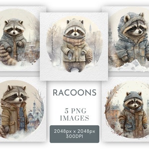 Raton laveur Clipart PNG, scrapbooking, fabrication de cartes, mignon raton laveur Bundle usage Commercial téléchargement immédiat