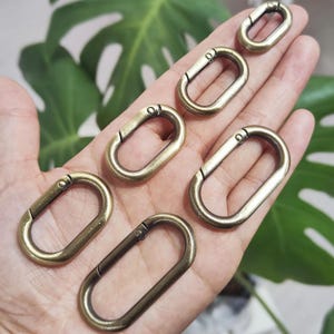 Puede incluir: Varios mosquetones ovalados de color latón antiguo. Los clips son de varios tamaños y tienen una puerta con resorte para un cierre seguro. Hojas verdes en el fondo.