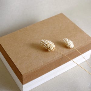 24/12/100 cartões de papel kraft em branco para etiquetar SZKa
