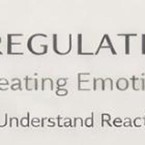 Op de afbeelding: Een lichtgekleurde afbeelding met de tekst "EMOTIONAL REGULATION WORKBOOK" en "Break Repeating Emotional Patterns". Pictogrammen zijn onder meer een hersen, een hart en een document. Het werkboek belooft te helpen bij het identificeren van triggers, het begrijpen van reactiviteit en biedt een directe PDF-download.