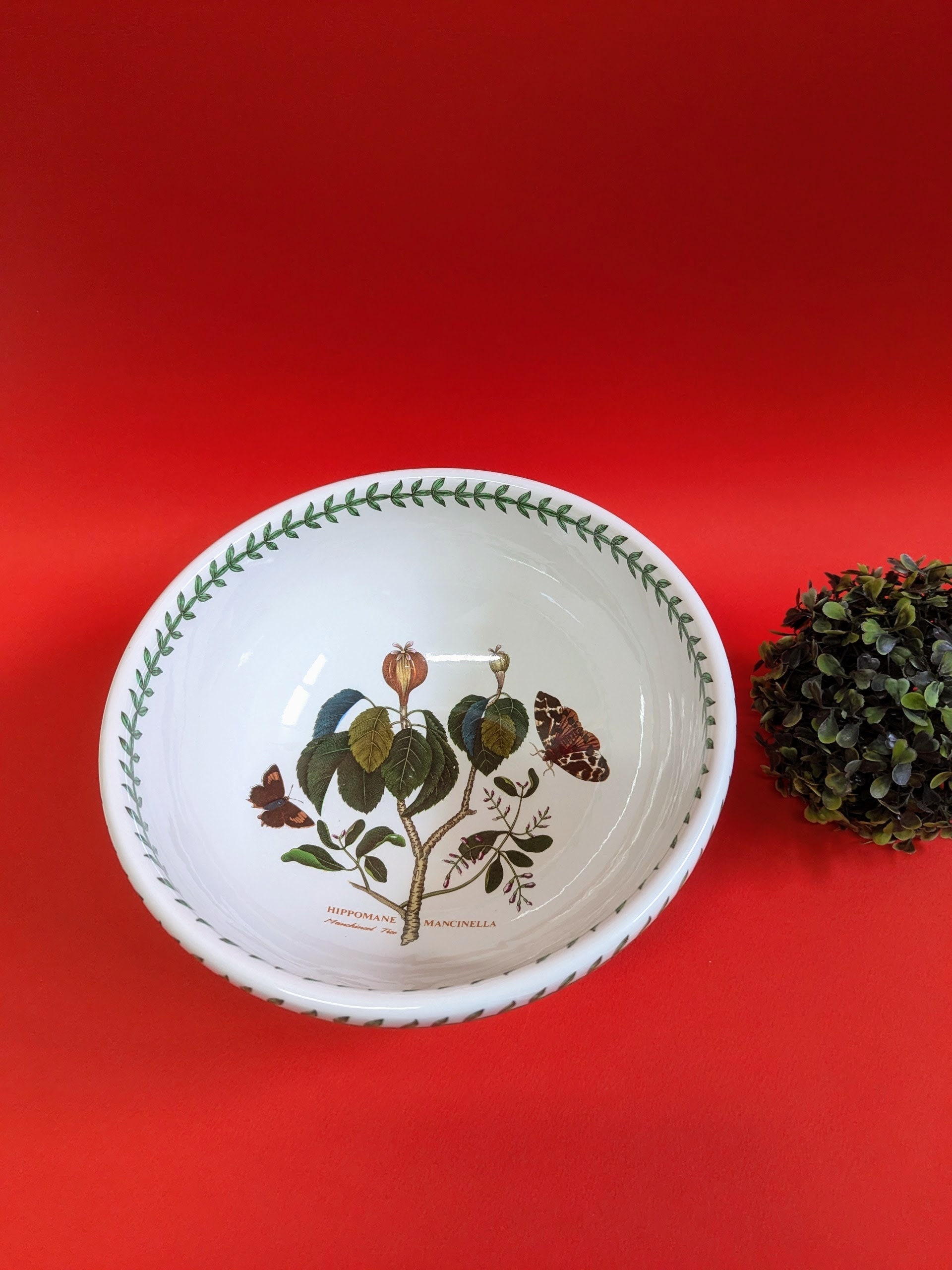 Scodella Pasta Portmeirion Botanic Garden - Motivi Floreali, 20cm - Foto 6