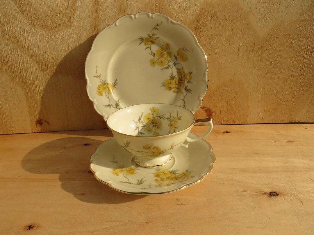 フッチェンロイター ティートリオ 金彩 花柄 ヴィンテージ il_1080xN.4739521103_sznc.jpg