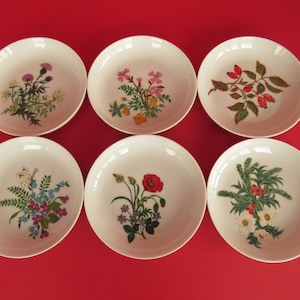 Vintage Furstenberg Porcelain Plates - Set of 6, Hand-Painted Floral & Fruit Design