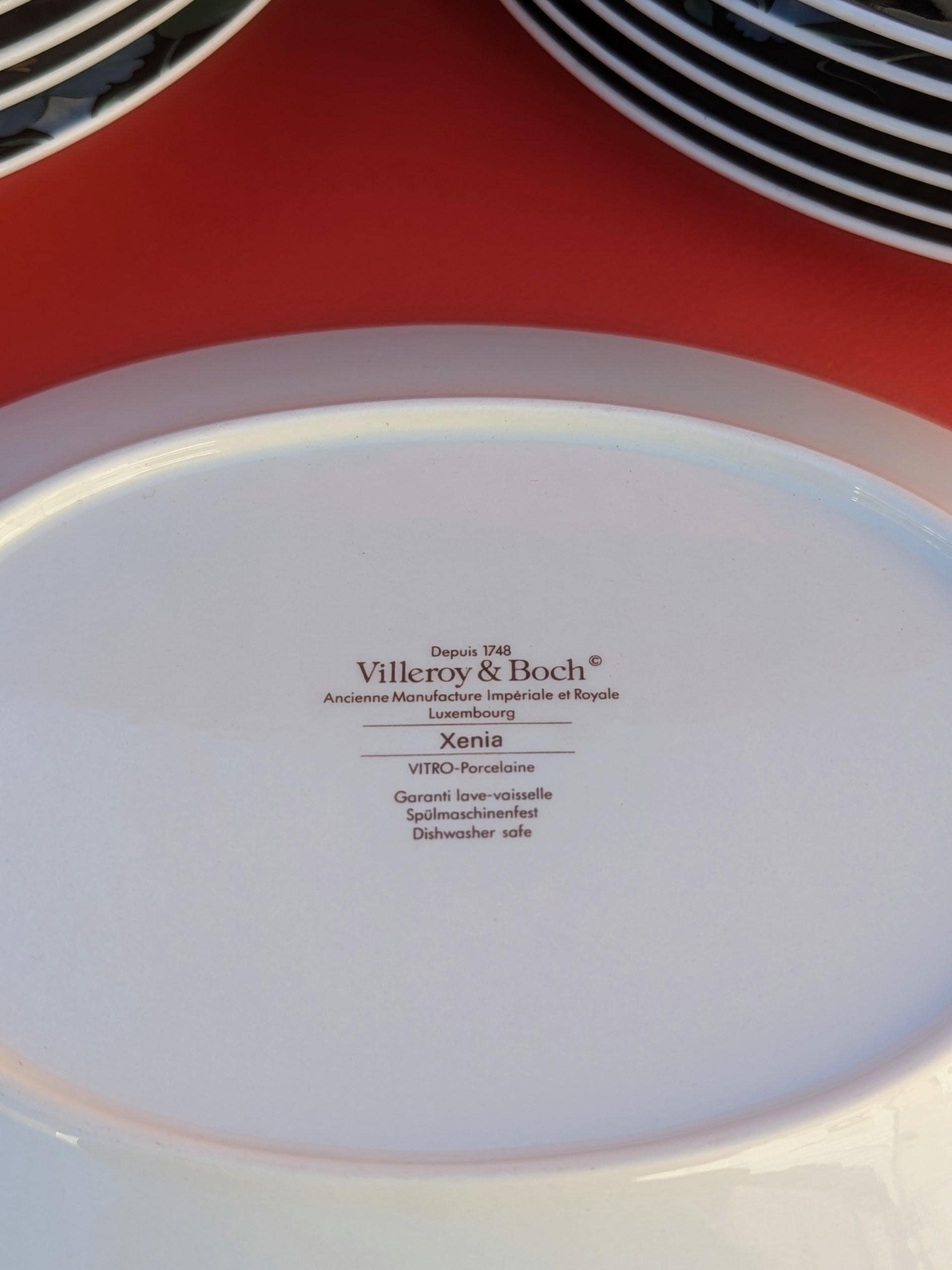 Vintage Xenia Dinner Service by Villeroy & Boch, Featuring Six