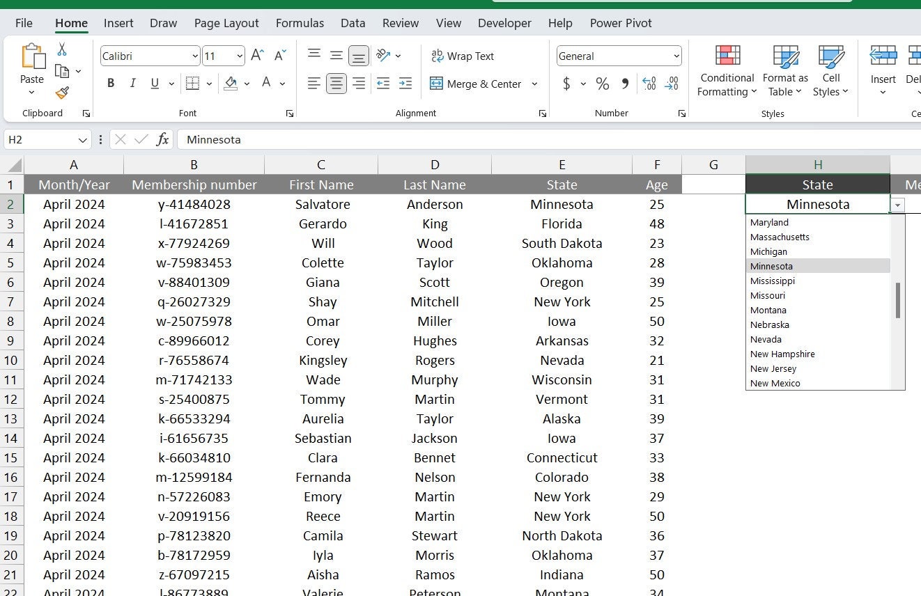 Excel searchable drop down lists excel file etsy australia