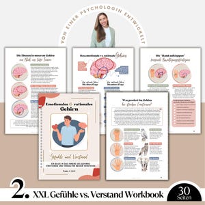 May include: A workbook with the title "Emotional vs. Rational Brain" and the text "Feelings and Understanding" is displayed. The workbook is surrounded by other pages with brain diagrams and text. The image also includes the text "XXL Feelings vs. Understanding Workbook".