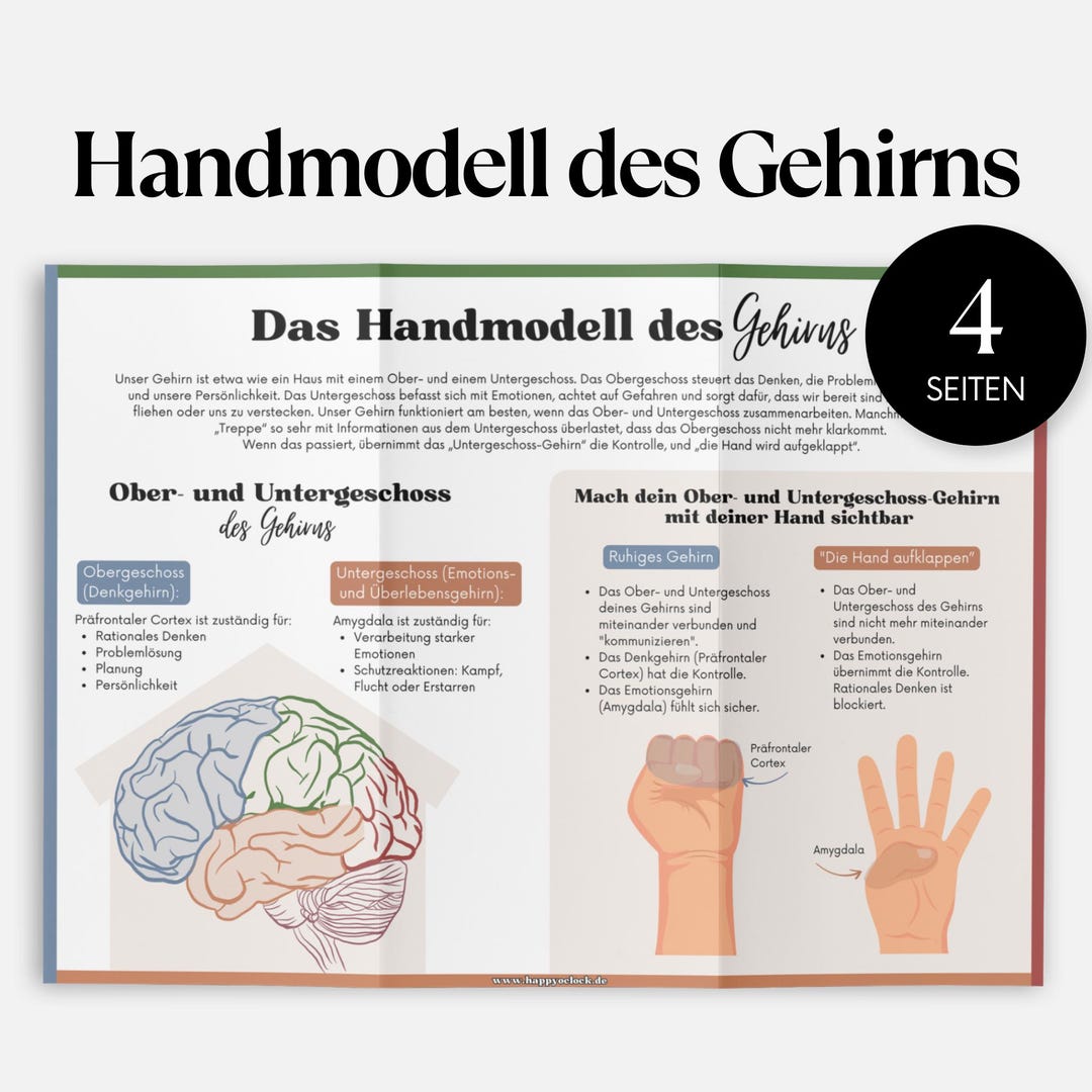 Hand Model of the Brain | Understanding Stress & Emotions With ...