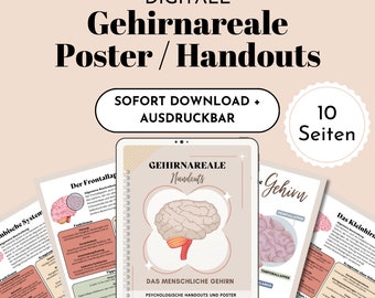 Brain areas psychoeducation therapy poster for psychotherapy occupational therapy counseling coaching digital therapy material template German PDF