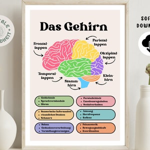 Therapy Brain Poster Psychology · Psychotherapy, Occupational Therapy, Therapy Material · Mental Health · Psychology Poster Download Pdf
