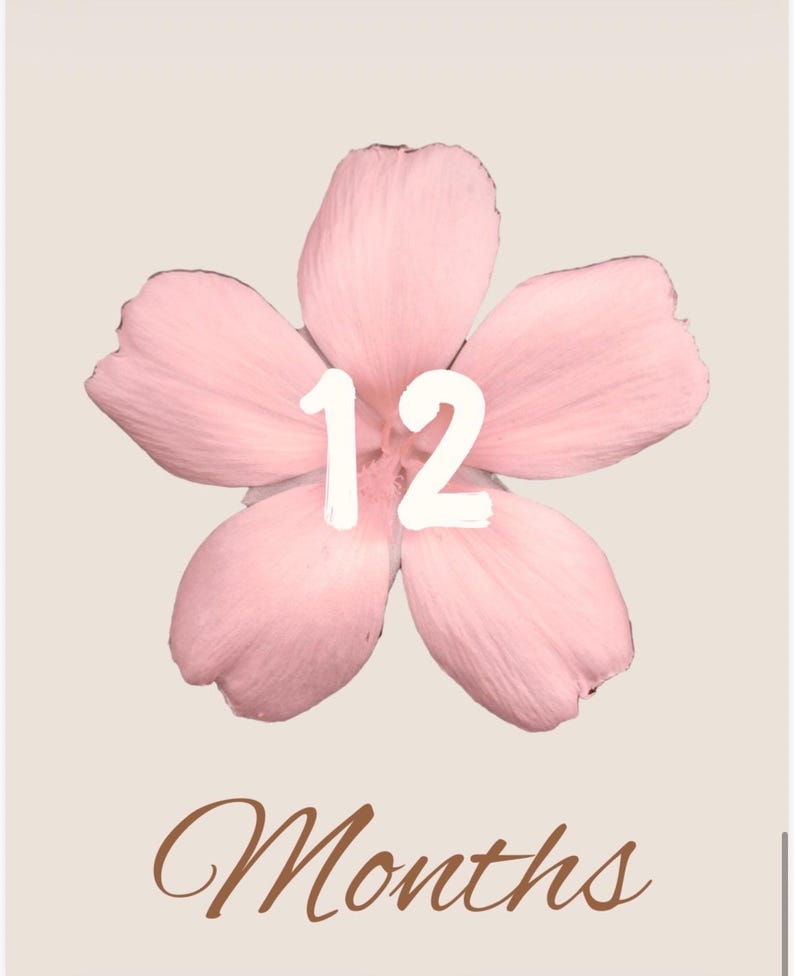 Pink Baby Milestone Cards Printable | Months 1–12 | Baby Girl Photo ...