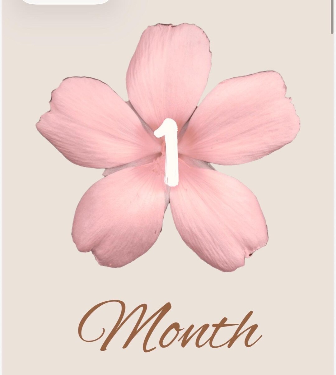 Pink Baby Milestone Cards Printable | Months 1–12 | Baby Girl Photo ...
