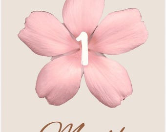 Tarjetas imprimibles rosas para hitos del bebé / Meses 1–12 / Accesorios para fotos de bebé niña / Carteles del primer año (PDF)