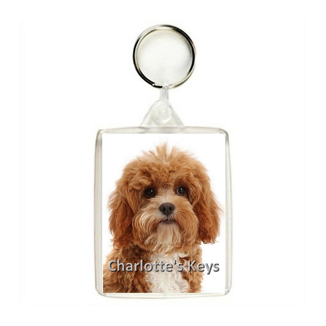Personalised CAVAPOO Dog Keyring / Bag Tag - Etsy