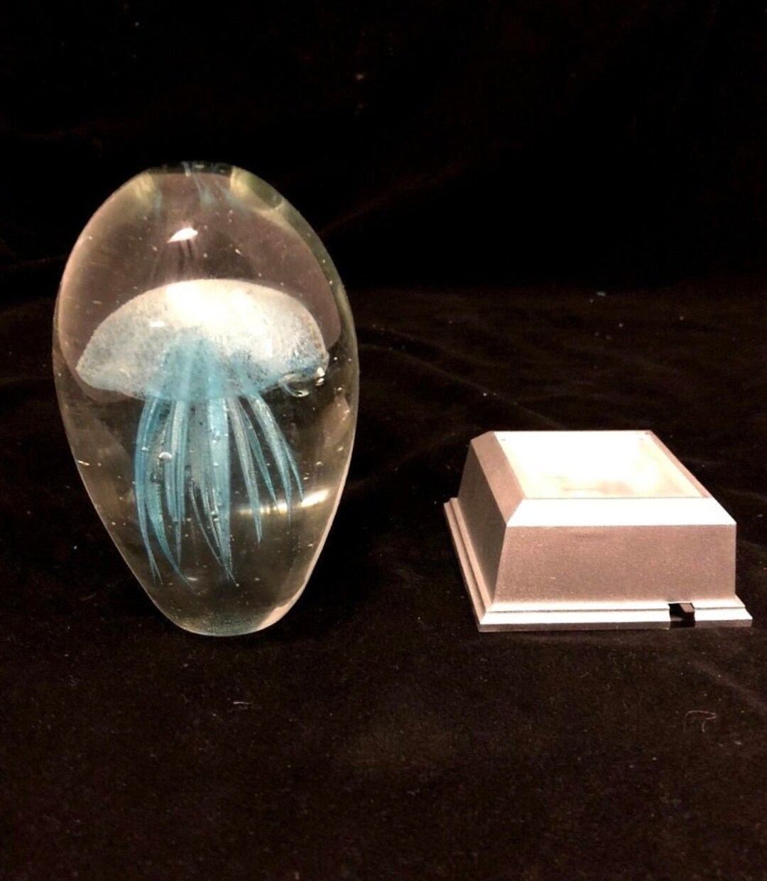 Handmade Glass Jellyfish Paperweight With Colour LED Base - Etsy Australia