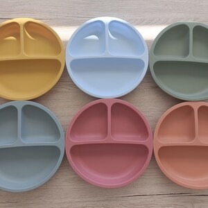 Compartmentalized silicone plate