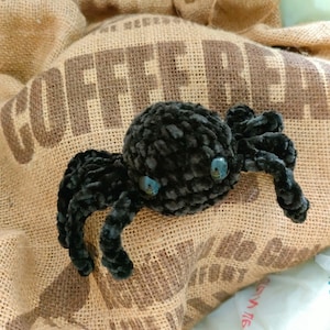 Halloween Spider Pattern