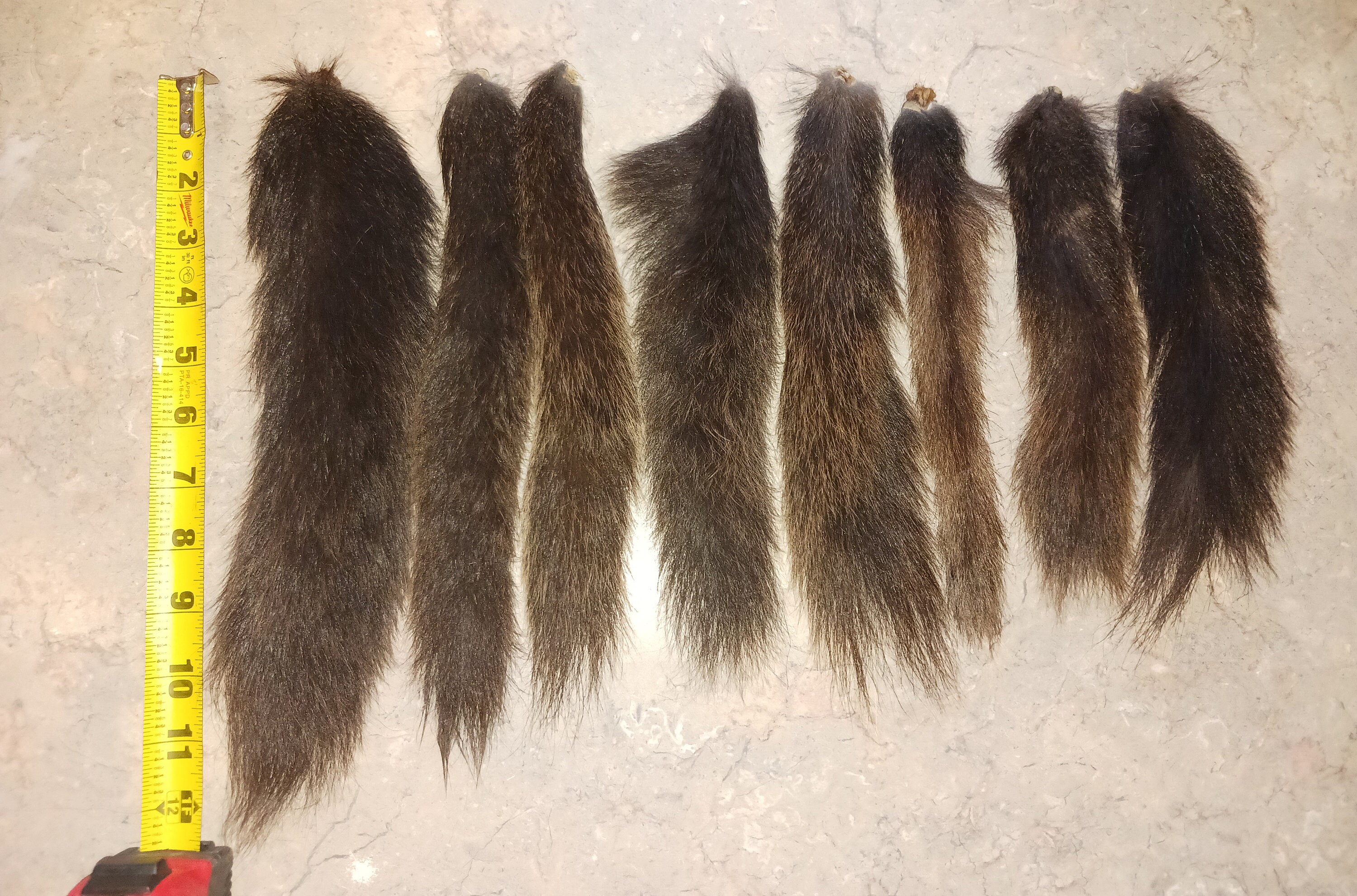 Squirrel Tails Gray Black Brown/blonde Fox Squirrel Tail Etsy
