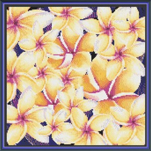 Digital cross stitch pattern - White Plumeria Flowers on black background  - square layout 11.2in x 11.2in