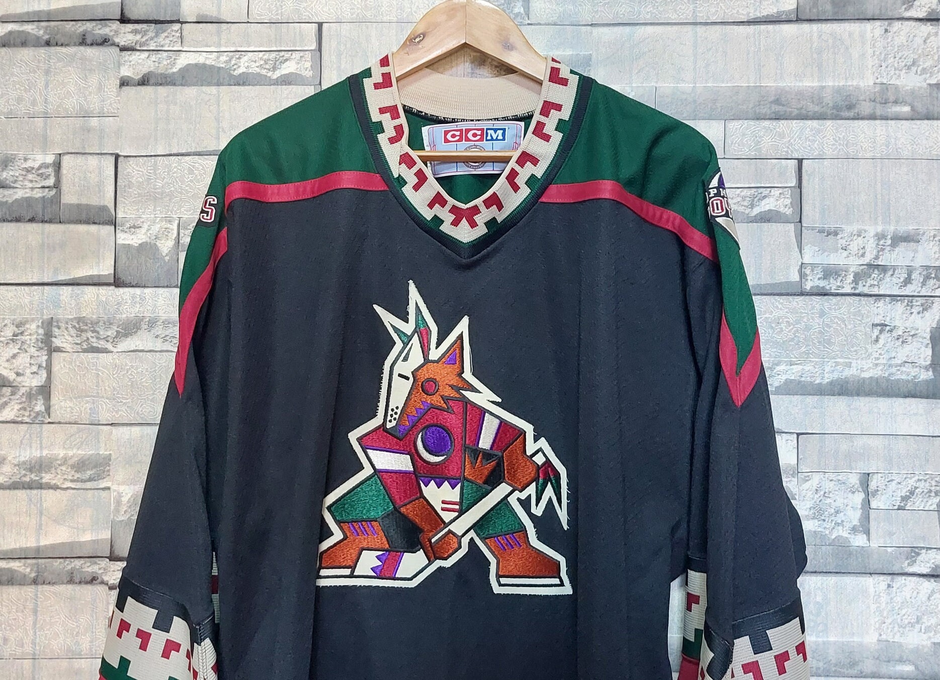 Phoenix Coyotes Sweatshirt 90s NHL Sweatshirt Hockey Sports Long