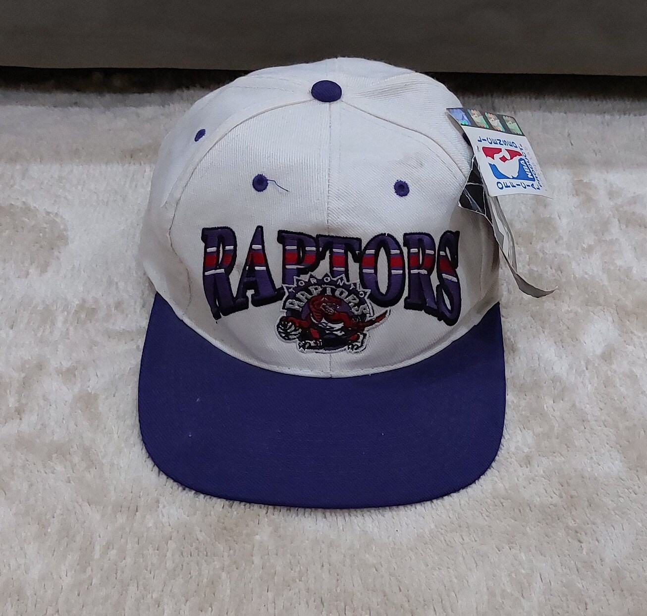 Vintage toronto raptors hat
