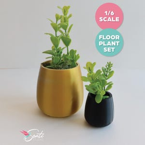 May include: Two miniature floor plants are shown. One is in a gold-coloured, teardrop-shaped pot, and the other is in a black pot. Both pots contain green leafy plants. The image includes text that reads "1/6 SCALE" and "FLOOR PLANT SET."