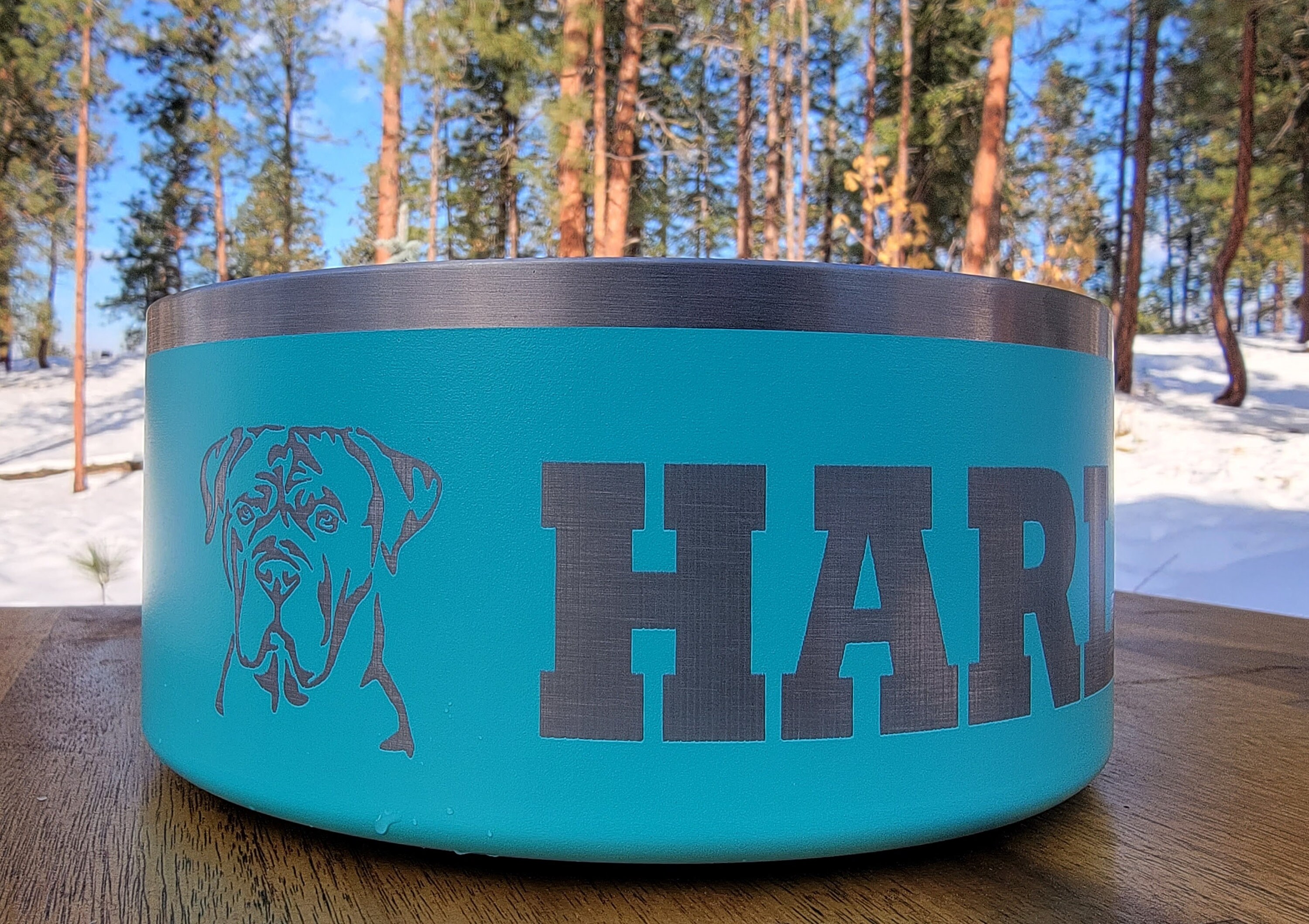 Personalized Laser Engraved Stainless Steel Dog Bowls Etsy