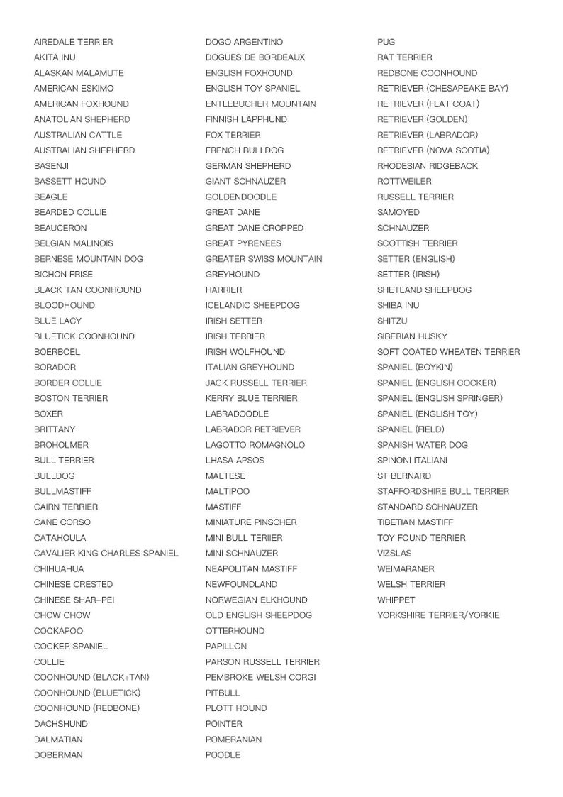 Personalized Laser Engraved Stainless Steel Dog Bowls Etsy