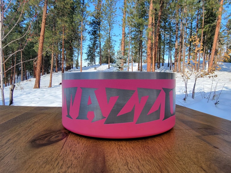 Personalized Laser Engraved Stainless Steel Dog Bowls Etsy