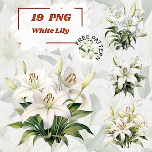 Lírio Branco Clipart Flor Aquarela Ilustração Lírio Png Cartão De Casamento Floral Clipart Flor Lírio Para Imprimir Convite Floral Gráfico 1028