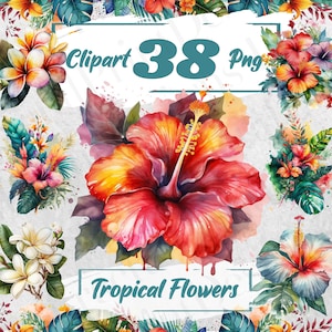 Watercolor Tropical Flowers Clipart Tropical Flowers Bundle Summer Clipart Tropical Clipart Summer Tropical Clipart Free Commercial Use 85