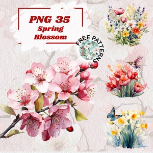 Cherry Blossom Watercolor - Spring Clipart - Spring Watercolor - Cherry Blossom Flowers - Spring Flowers - Pink Watercolor Flowers 989