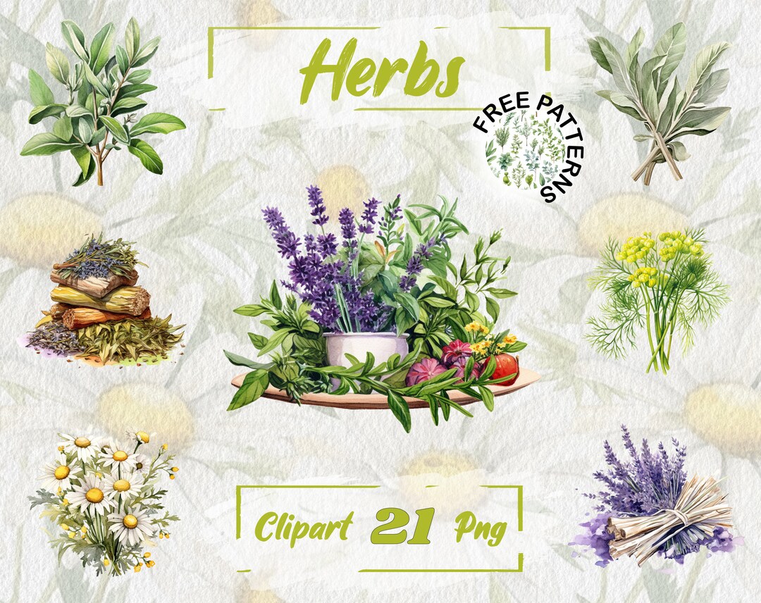 Watercolor Herbs Clipart Herbal Clipart PNG Herbs PNG Kitchen Clipart