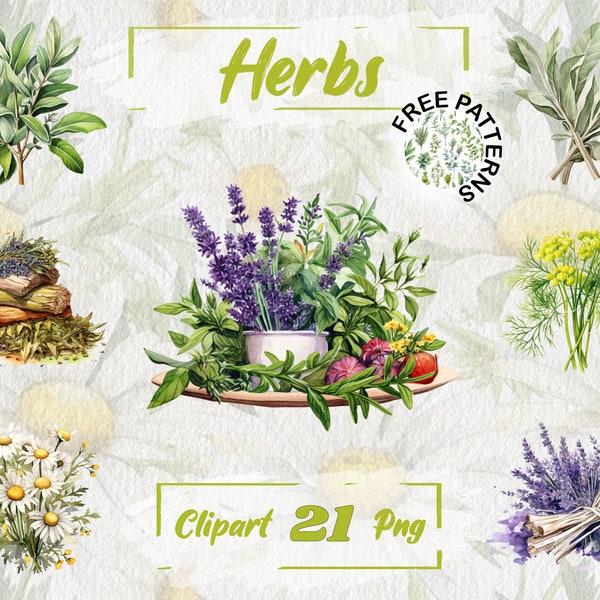 Watercolor Herbs Clipart Herbal Clipart PNG Herbs PNG Kitchen Clipart Rustic Clipart PNG Free Commercial Use, Scrapbooking, Journal 279