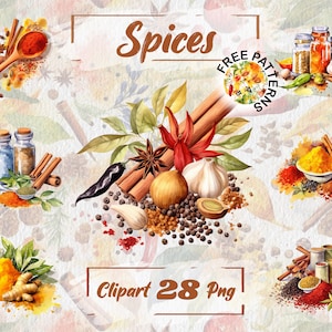 Watercolor Spices and Herbs Food Clipart Herb and Spice PNG Kitchen Clipart Rustic Clipart PNG Free Commercial Use, Scrapbooking PNG 290