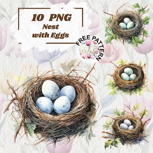 Nido de pájaro con huevos en acuarela, clipart de nido de pájaro, descarga digital, clipart de acuarela, clipart de Pascua, clipart de primavera 893