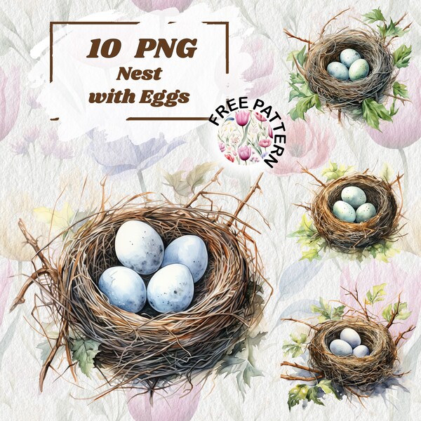 Watercolor Bird Nest with Eggs Clipart, Bird Nest Clipart, Digital Download, Watercolor Clipart, Easter Clipart, Spring Clipart 893