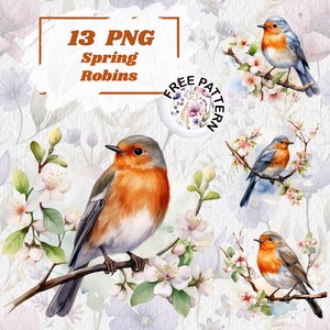 Clipart de Robin de primavera, clipart de Robin em aquarela, clipart de Robin vermelho, ilustração de Robin, imagens de decoração de berçário, uso comercial, transparente 892
