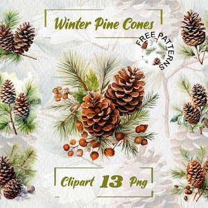 Winter Pine Cone Clipart Pine Branches PNG Watercolor Christmas Clipart Cones Watercolor Xmas Clipart Pine Cone Image Woodland Christmas 689