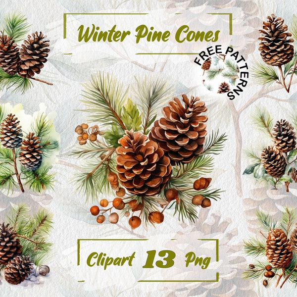 Winter Pine Cone Clipart, Pine Branches PNG, Watercolor Christmas Clipart, Watercolor Cones Clipart, Pine Cone Images, Woodland Nature 689