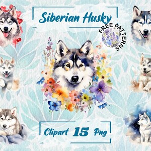 Siberian Husky Watercolor Clipart Dog Art Pet Design Elements Canine Digital Painting Animal Art Puppy Illustration, Breed Download 274