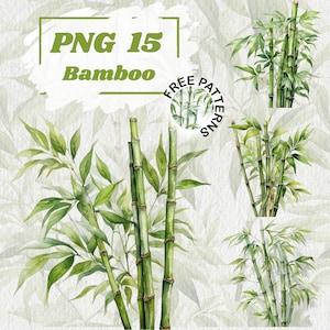 Bambus Clipart, Botanische Kunst, Aquarell Bambus PNG, Bambuspflanze Digital Download, Kartenherstellung, Journaling, Digitales Papier Handwerk 858