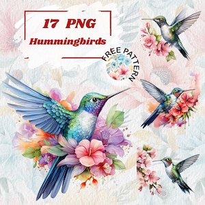 Kolibri PNG, Kolibri Aquarell Vogel Clipart, niedlicher bunter Vogel PNG, Kinderzimmerdekor, Babyparty Clipart, digitales Papiermodell 884