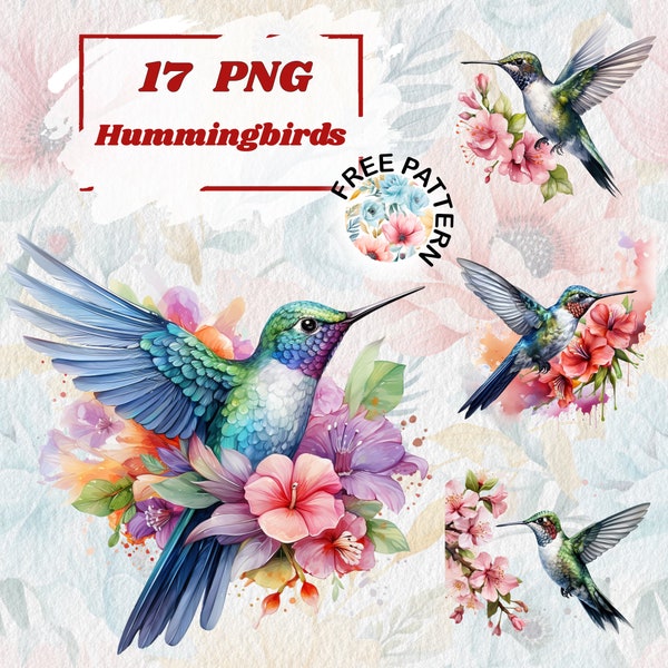 Hummingbird PNG, Humming Bird Watercolor Bird Clipart, Cute Colorful Bird PNG, Nursery Decor, Baby Shower Clipart, Digital Paper Craft 884