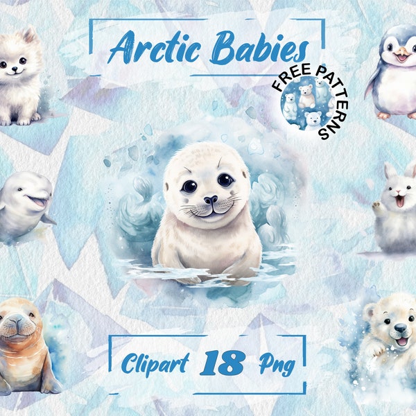 Watercolor Arctic Baby Animals Cute Animals Clipart Watercolor Arctic PNG Polar Bear PNG Seal Clipart Nursery Animals, Baby Shower 242